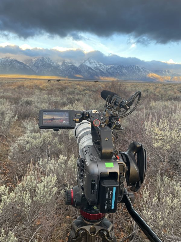 SONY - Boitier Fx6 – Image 4